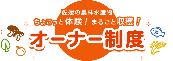 愛媛の農林水産物「ちょこっと体験！まるごと収穫！」オーナー制度