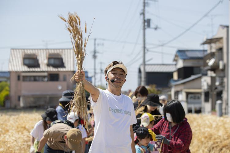 オドル野菜プロジェクトinEHIMEーオドルはだか麦ー収穫の実施の画像