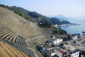 Dandan batake(Terraced fields) on the Uwa Sea coast