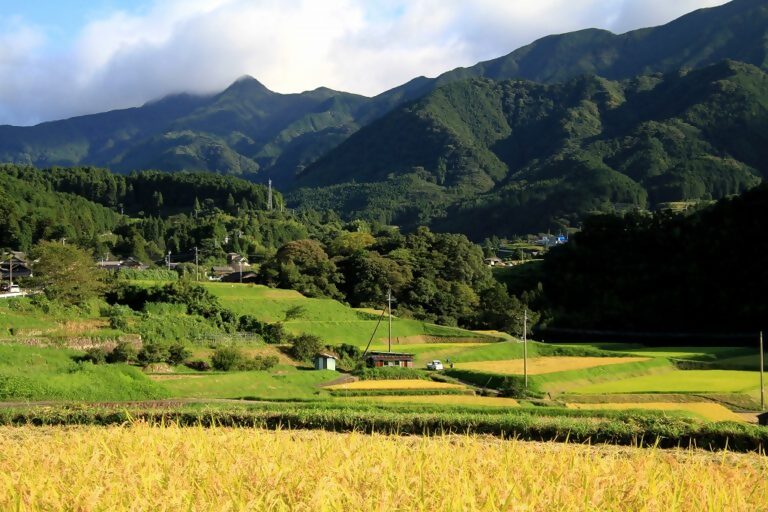 穂田琉の画像2