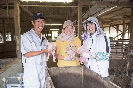 ほのぼの家族の豚にやさしい農場の画像