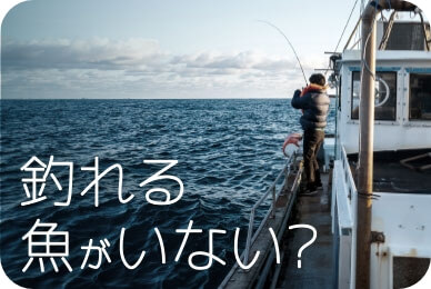 釣れる魚がいない?の画像