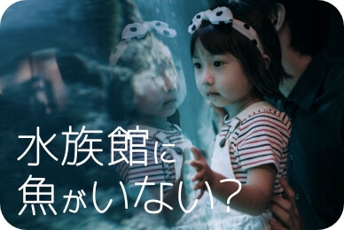 水族館に魚がいない?の画像