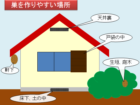 巣を作りやすい場所の画像