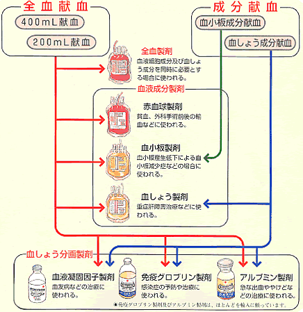 血液の使われ方図