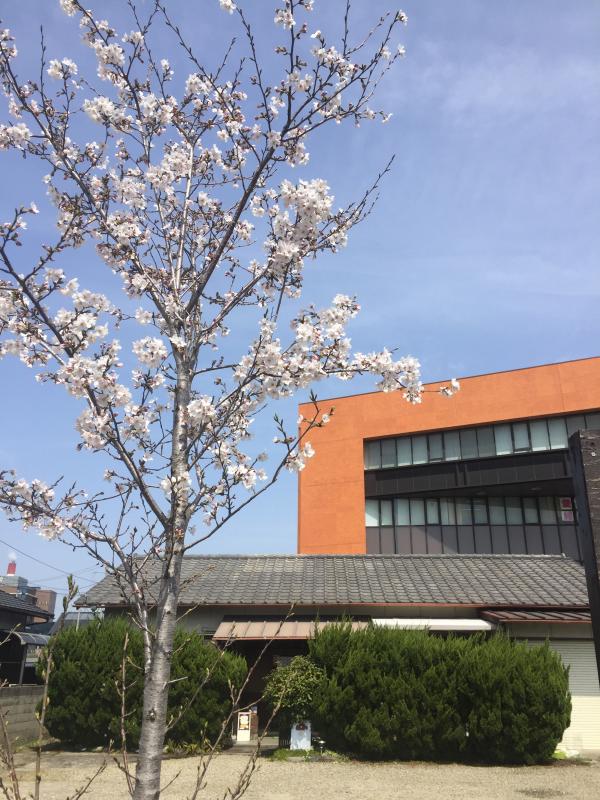 Cafe Pilzの画像1