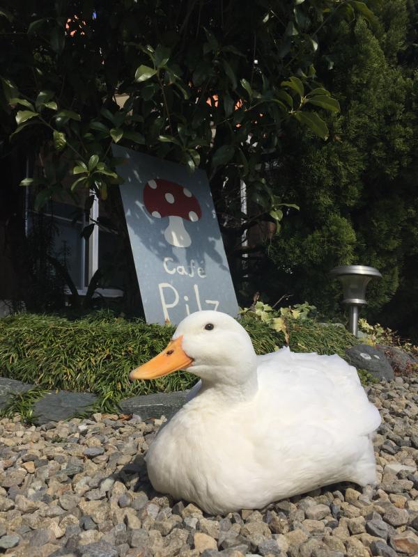 Cafe Pilzの画像3