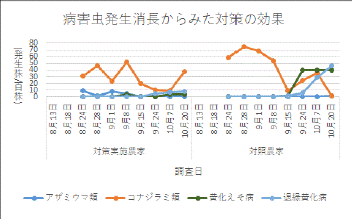 きゅうり図