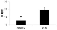 4月13日から10月5日の虫糞数（5樹/区）