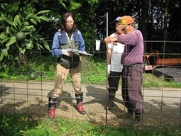 ワイヤーメッシュの設置確認