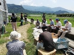 講習会で夏越しきゅうりの栽培ポイントを説明