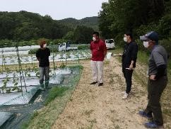 野菜ほ場（大洲）