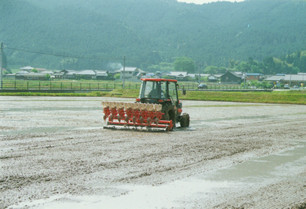 水稲の湛水直播作業の画像