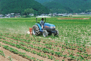 大豆の中耕・培土作業の画像