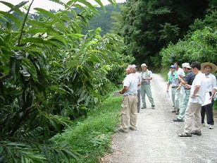 特選くりの現地審査の画像