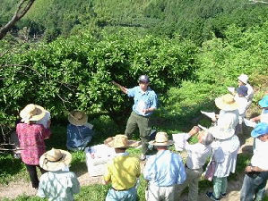 ゆずの現地講習会の画像