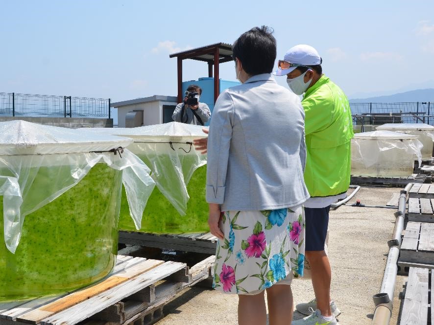 5月24日（火曜日）えひめ南予きずな博SDGs体験プログラム「青のり陸上養殖の見学」（宇和島市）の画像