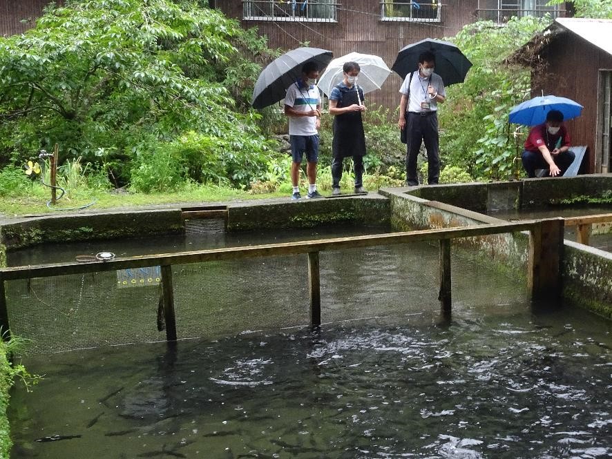 6月25日（土曜日）えひめ南予きずな博SDGs体験プログラム「竹の釣り竿作りと川魚釣り体験」視察（大洲市）の画像