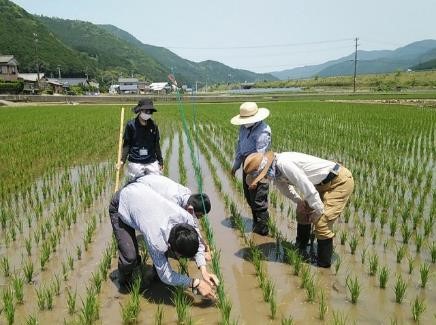 宇和高校生育調査