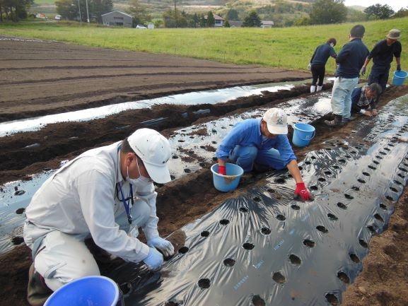 にんにく実証ほ