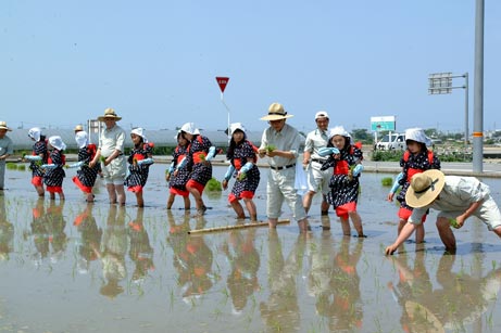 6月5日（木曜日）農業試験場お田植祭（県農業試験場）の画像