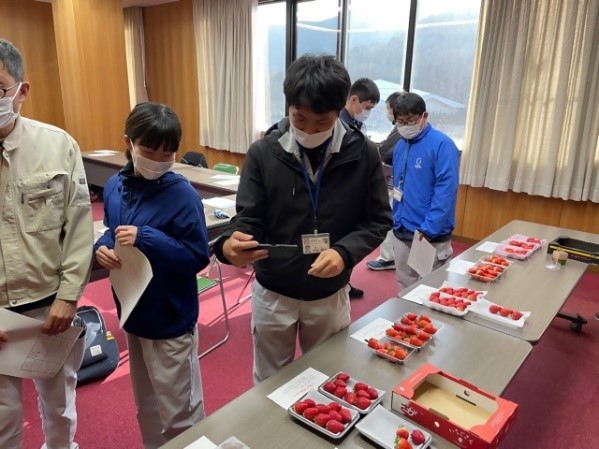 いちごの食味調査