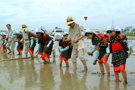 6月2日（水曜日）農業試験場お田植祭（県農業試験場）の画像