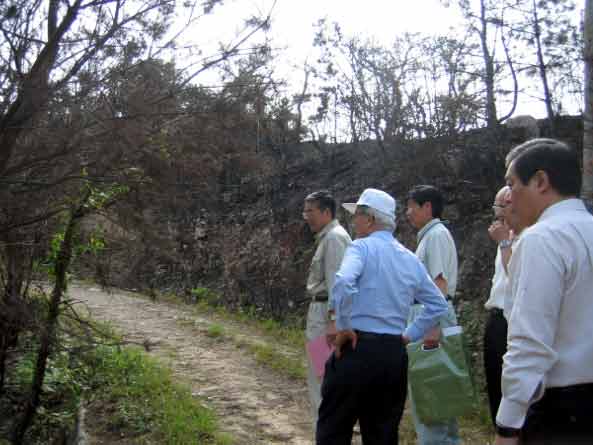 7月30日（土曜日）大三島山林火災跡地視察（今治市）の画像