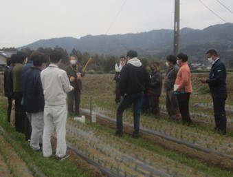 現地で土壌状態確認