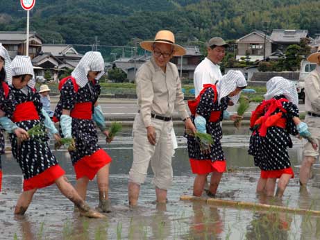 6月5日（火曜日）農業試験場お田植祭（県農業試験場）の画像