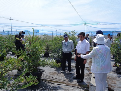 6月23日（金曜日）ブルーベリー農園視察（松山市）の画像