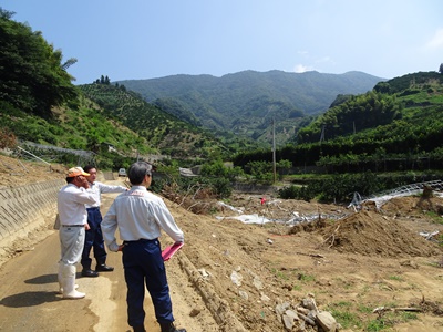 8月4日（土曜日）平成30年7月豪雨災害に係る被災地視察（宇和島市吉田町法花津　県みかん研究所）の画像