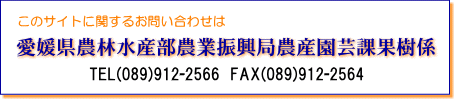 このサイトに関するお問い合わせは愛媛県農林水産部農業振興局農産園芸課果樹係 TEL089-912-2566 FAX089-912-2564 まで