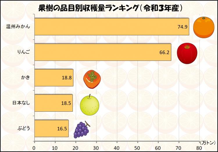 果樹の品目別収穫量ランキング (令和3年産)の画像