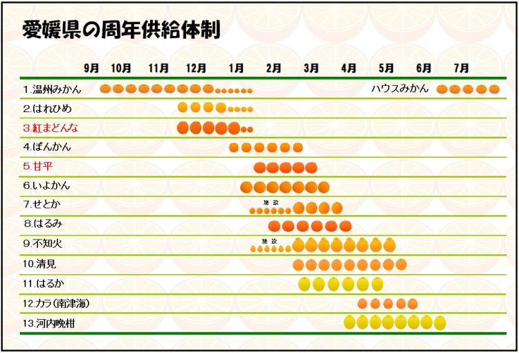 愛媛県の周年供給体制の画像