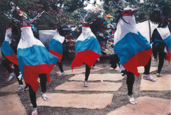 窪野八ツ鹿踊の画像