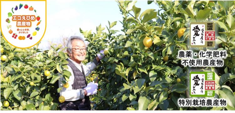 エコえひめレモン生産者さんに聞きましたの画像