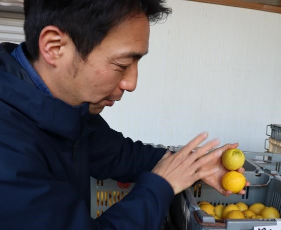 大三島から世界に通用するレモンの画像1