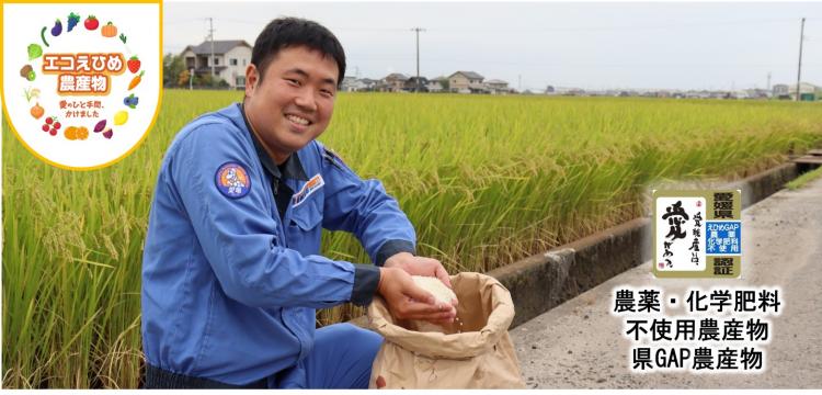 エコえひめ水稲生産者さんに聞きましたの画像