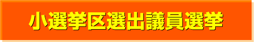 小選挙区選出議員選挙