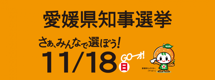 平成30年 第19回愛媛県知事選挙の結果の画像