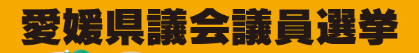 愛媛県県議会議員選挙