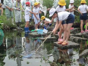 中寺生き物教室