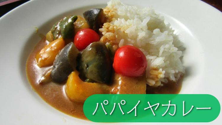 パパイヤカレーの画像