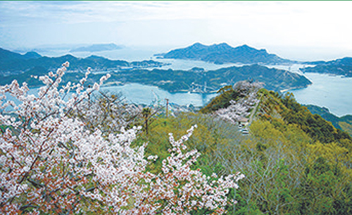 ［上島町］いわぎ桜まつりの画像