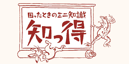 困ったときのミニ知識 知っ得