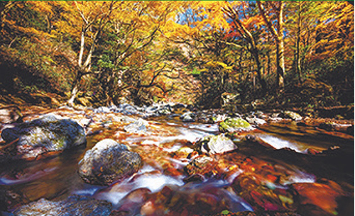 ［内子町］小田深山渓谷の紅葉の画像