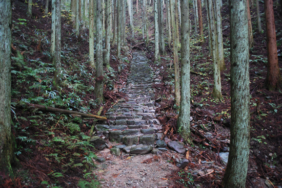 伊予遍路道（横峰寺道）の画像2