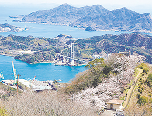 ［上島町］上島町いわぎ桜まつりの画像