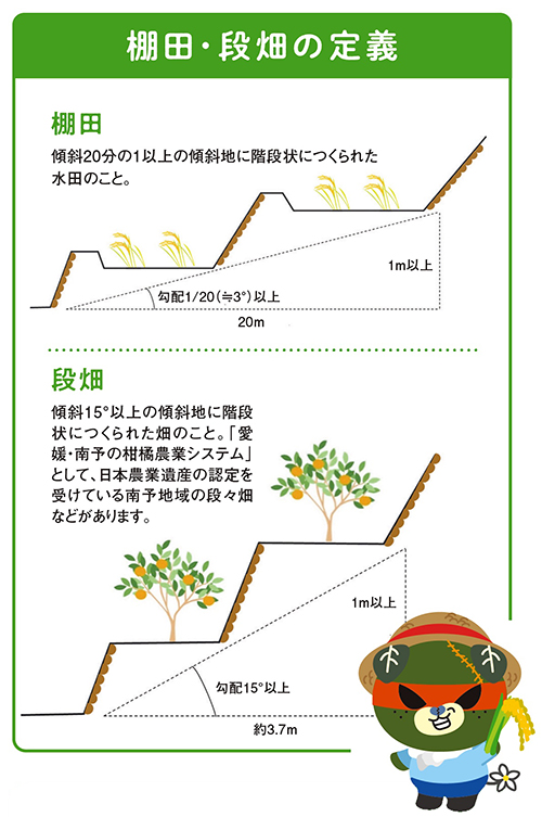 棚田・段畑の定義